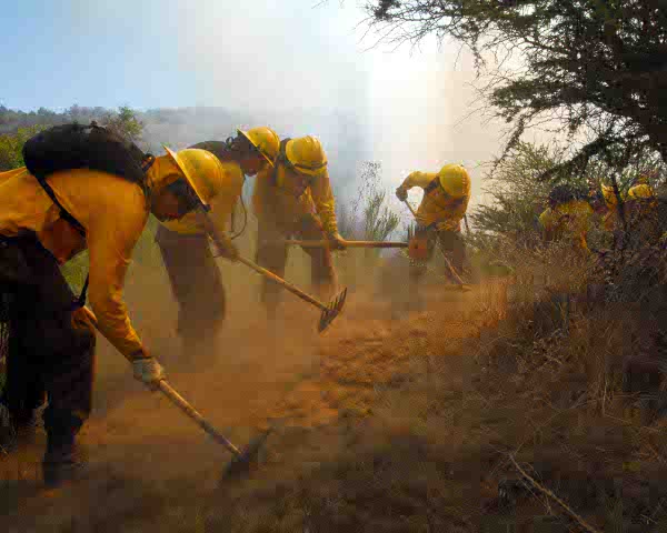 En fase de control incendio forestal de Pallocabe