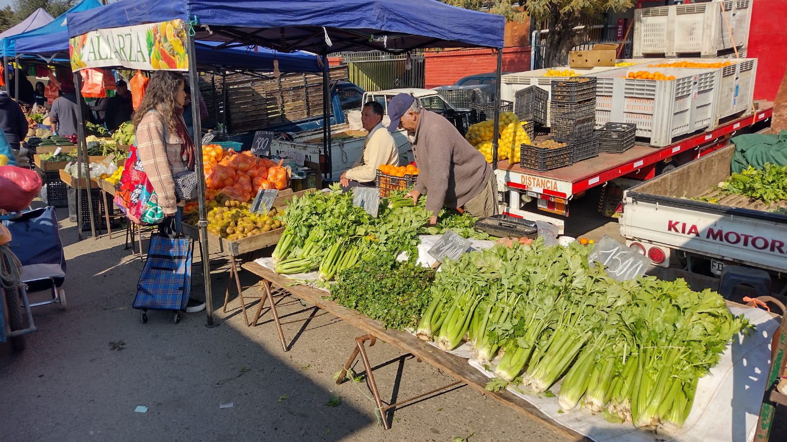 Dirigente gremial de la Feria Agrícola de Melipilla se refiere efectos de sistema frontal en sus producciones