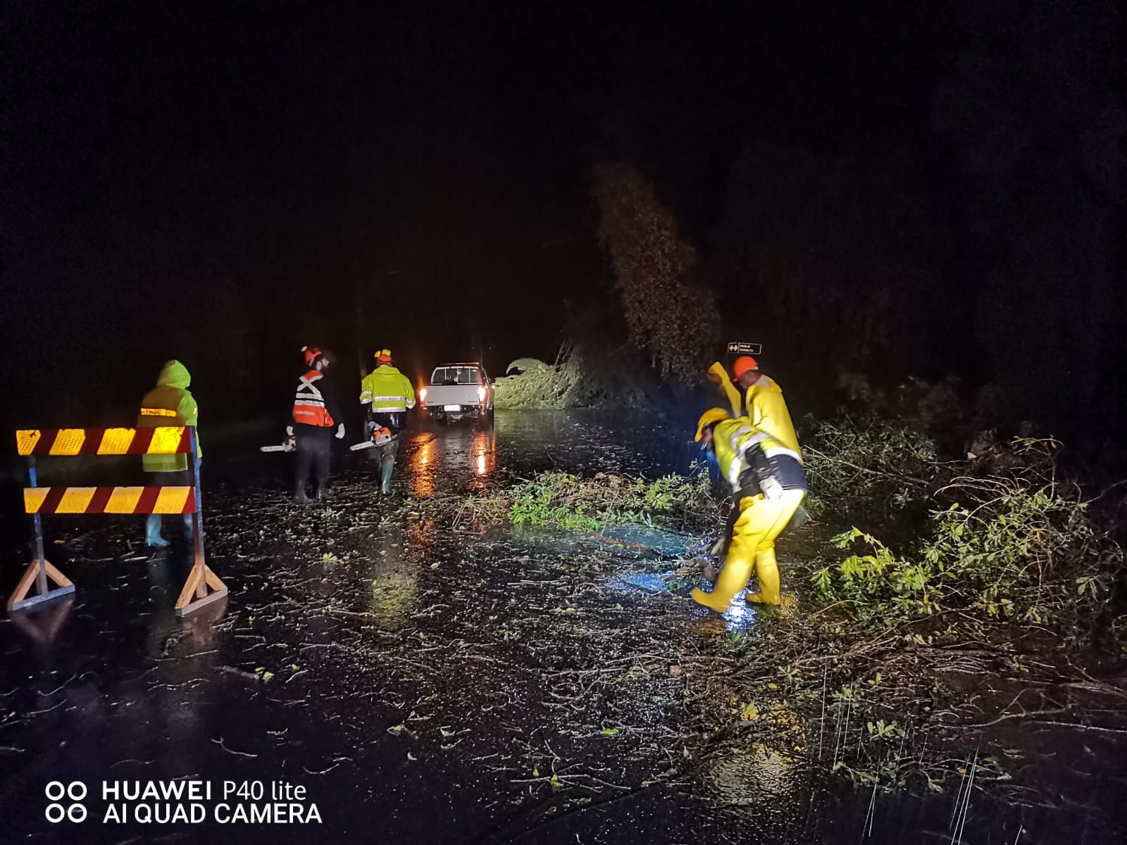 Sistema frontal en Melipilla: Caídas de árboles y cortes de energía