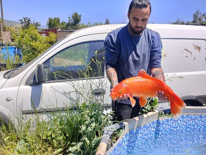 El drama de joven emprendedor melipillano tras extensos cortes de energía