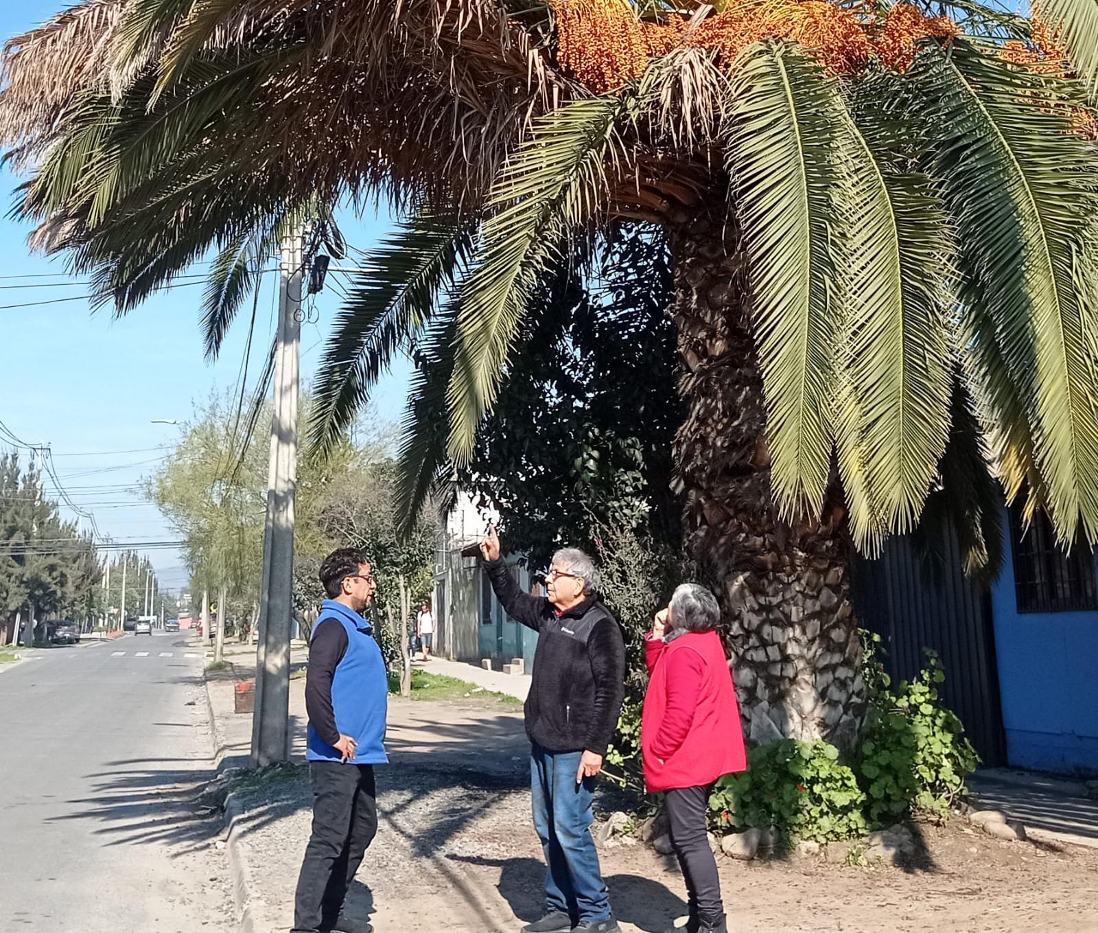 Vocero de la Ruta del Abandono y cortes de electricidad: “hace 35 días llamamos a hacer trabajo preventivo”