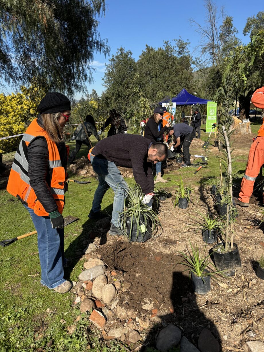 Duoc UC y Municipalidad de Melipilla avanzan en plan de reforestación de Parque Héctor Pino Burgos