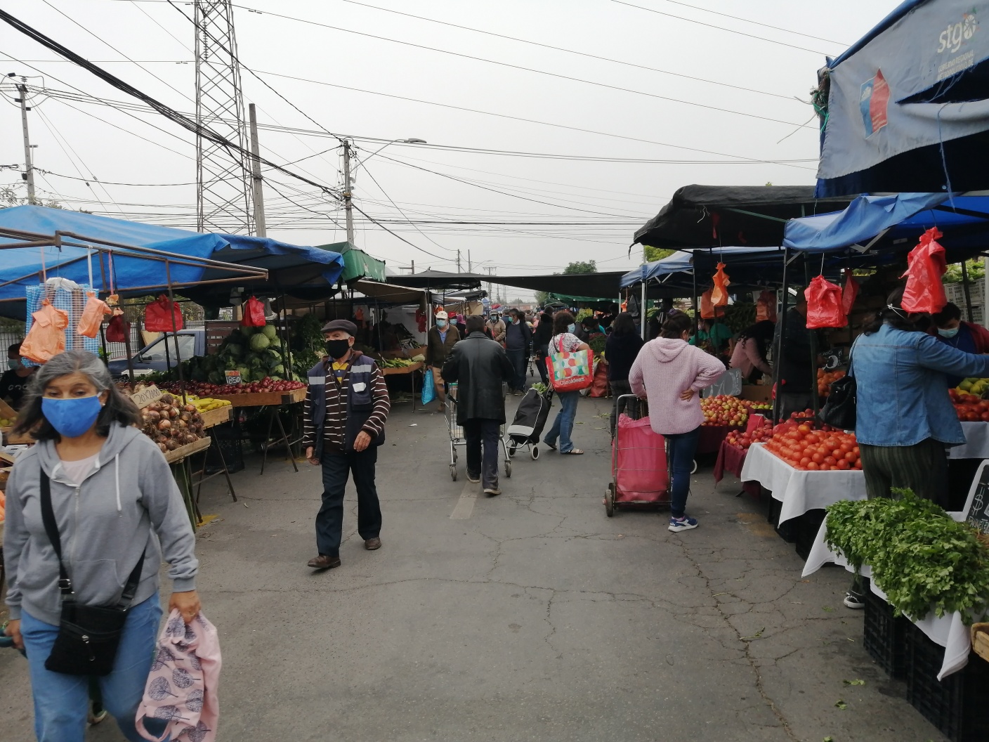 Dirigente de Feria Libre de Melipilla entrega novedades sobre el funcionamiento los días miércoles