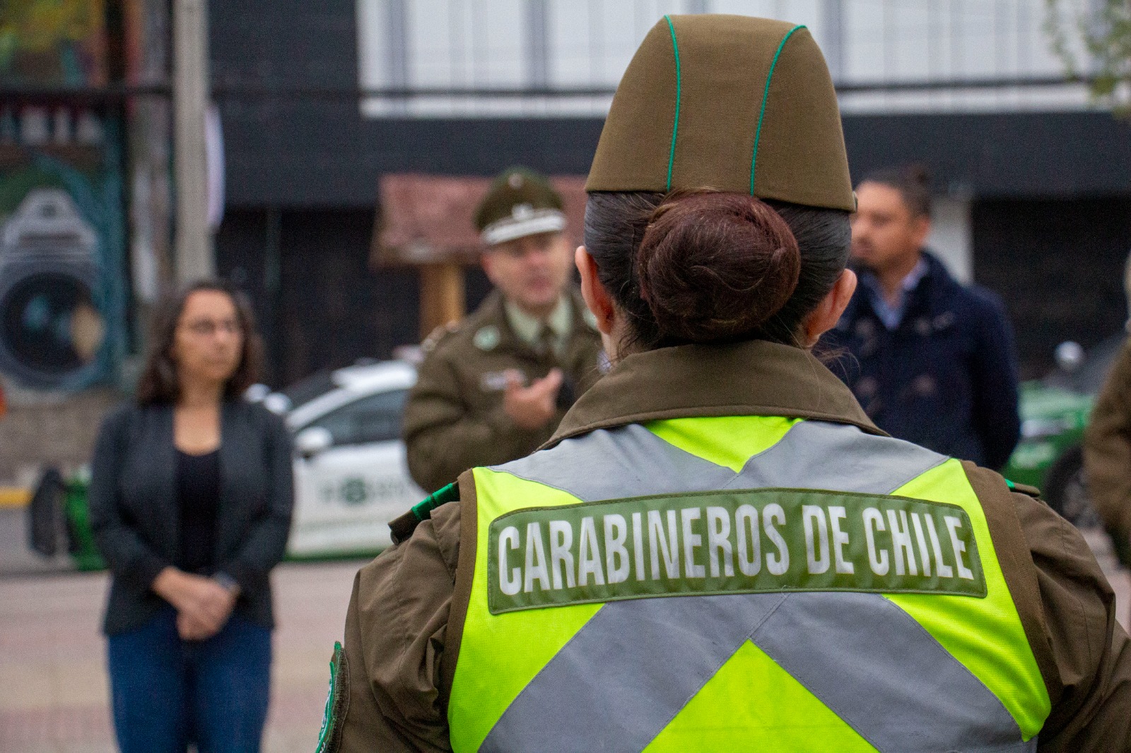 Trece detenidos en ronda masiva de Carabineros en la provincia de Melipilla