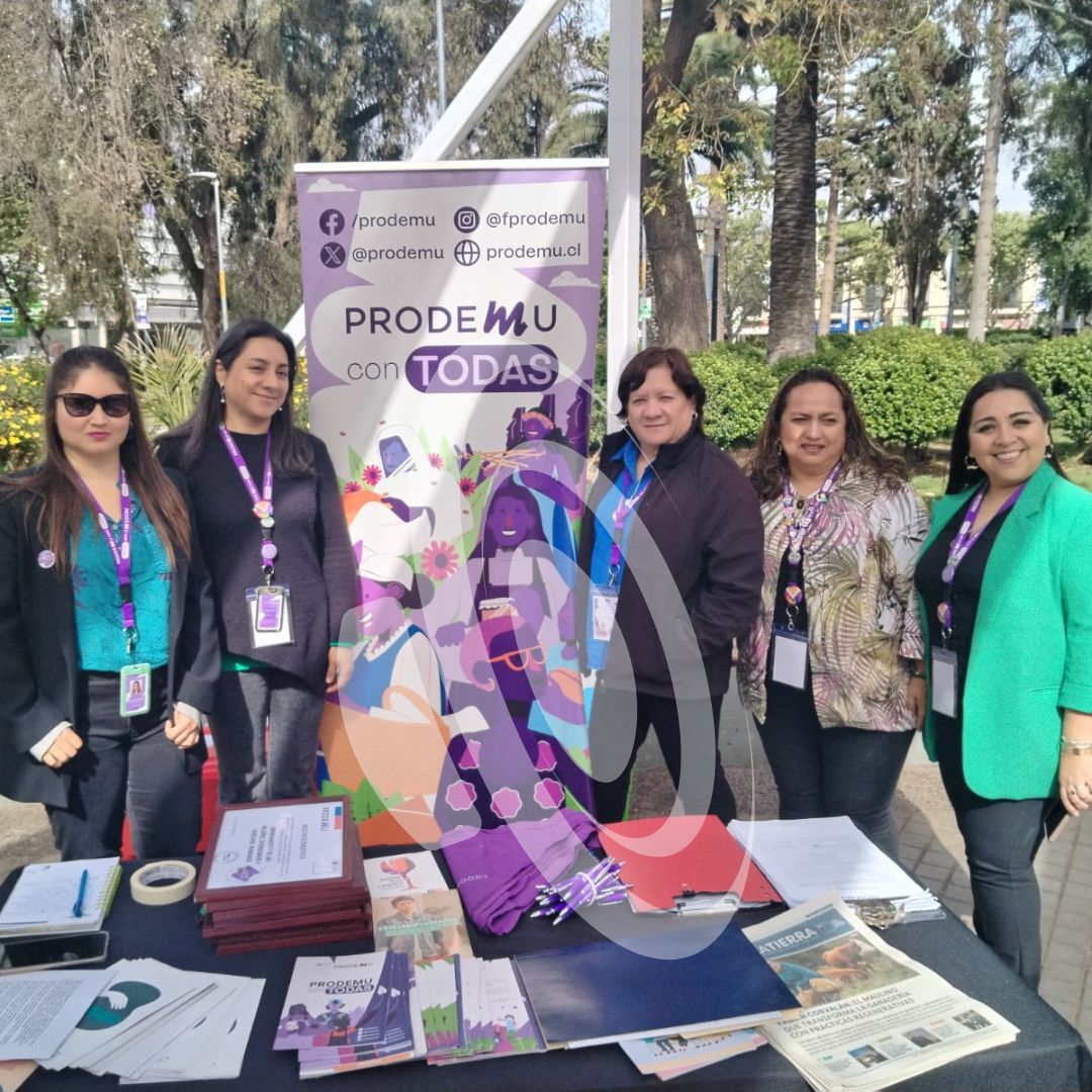 En plaza de armas se realiza muestra de emprendedoras locales en el marco de los 34 años de Fundación Prodemu