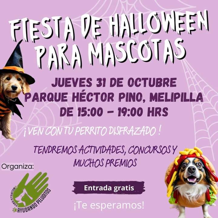 Invitan a Fiesta de Halloween para Mascotas en el Parque Héctor Pino Burgos