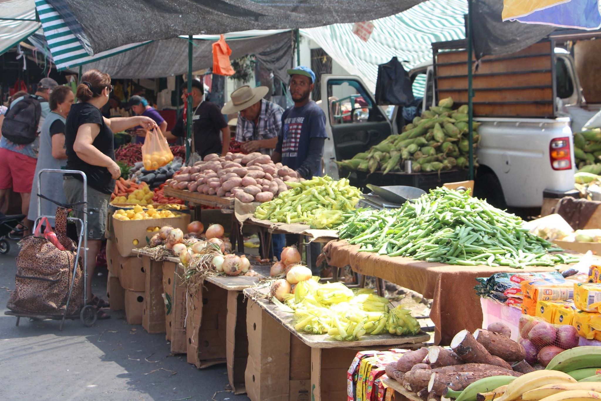 Dirigente de feria libre de Melipilla entrega detalles del funcionamiento durante este fin de semana